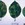 Plum pox symptoms on plum leaves.
Source: Biologische Bundesanstalt für Land- und Forstwirtschaft, Bugwood.org