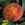 Plum pox symptoms with yellow rings on a yellow-fleshed peach cultivar. Source: European and Mediterranean Plant Protection Organization, Bugwood.org